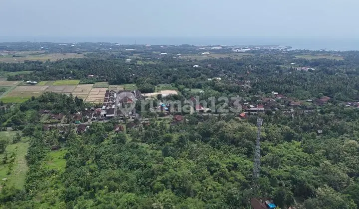 Dijual Lahan Datar Perumahan Area Negara Cocok Utk Invest