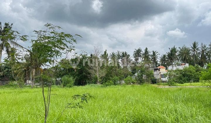 Dijual Lahan di Jalan Glogor Lodtunduh Ubud
