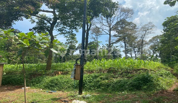 Tanah Dijual di Wonoplumbon Mijen Depan Perumahan Adinata Raya