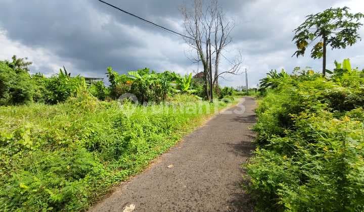 Tanah Kavling termurah di Keramas Gianyar,daerah elit,dkt pantai