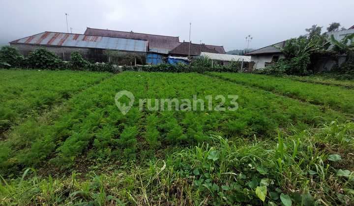 tanah kavling premium di Bedugul baturiti,dkt dgn Kebun Raya