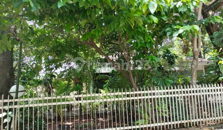 Kavling Cempaka Putih Barat