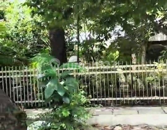 Cempaka Putih Barat,, Rumah Hit Tanah Jakarta Pusat