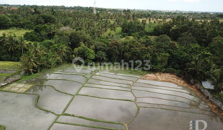 Stunning Riverside Freehold Opportunity With Views, Kaba Kaba