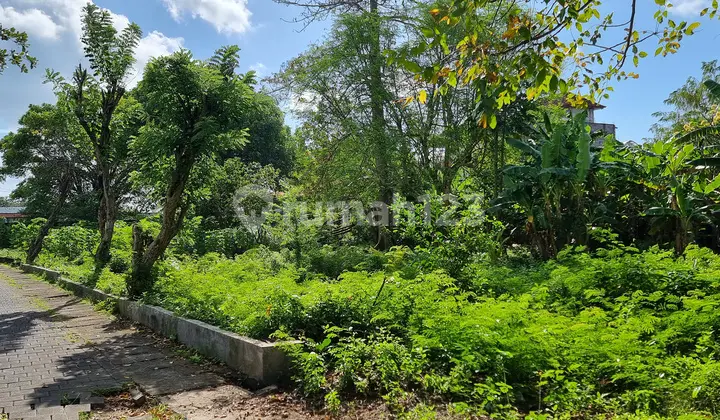 Prime Leasehold Land For Investment Opportunity, Jimbaran