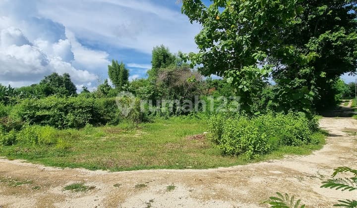 Super Rare Small Plot For Lease