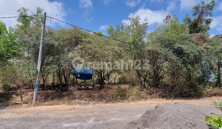 Super Rare Freehold Land In Central Jimbaran