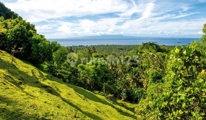 Last Plot - Dream Land Plot For Lease Ocean And Mountain Views