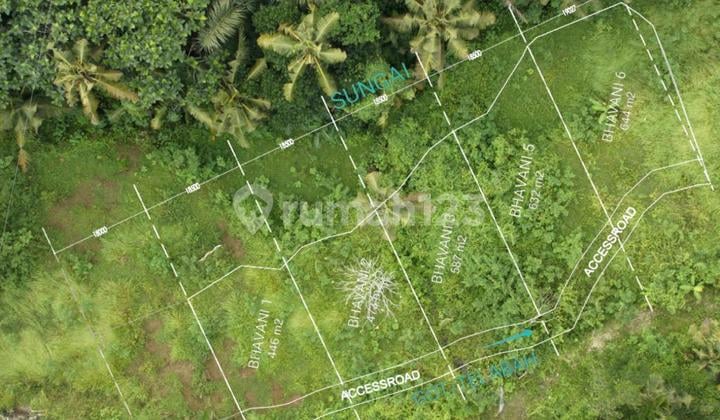 Disewakan Tanah 32.25 Are Leasehold di Saba Bali – Pemandangan Hutan & Lingkungan Asri, Tersedia 5 Kavling