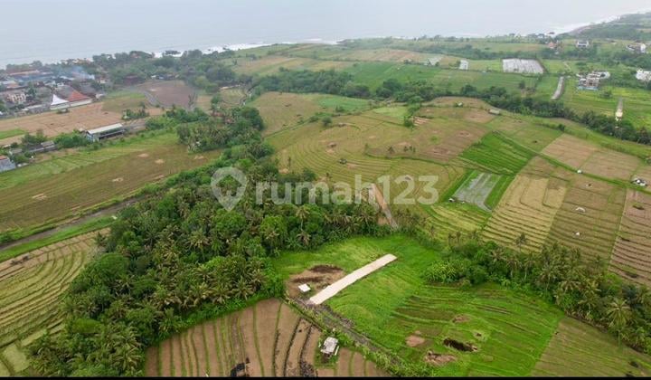 Dijual Tanah Komersial Hak Milik di Dekat Tanah Lot – Pemandangan Sawah yang Indah & Privasi Tepi Sungai