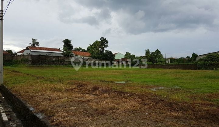 Kavling Jl.Raya Parung Panjang (Ukuran 6000 m2)