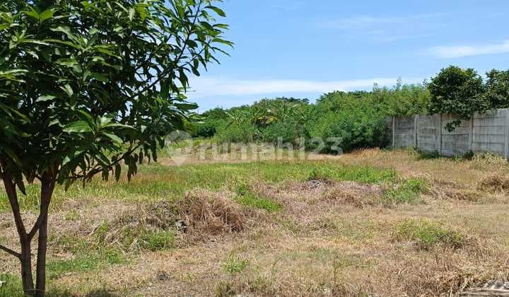 KBC Plot Jl.Kamal Muara (Size 6,170 m2)