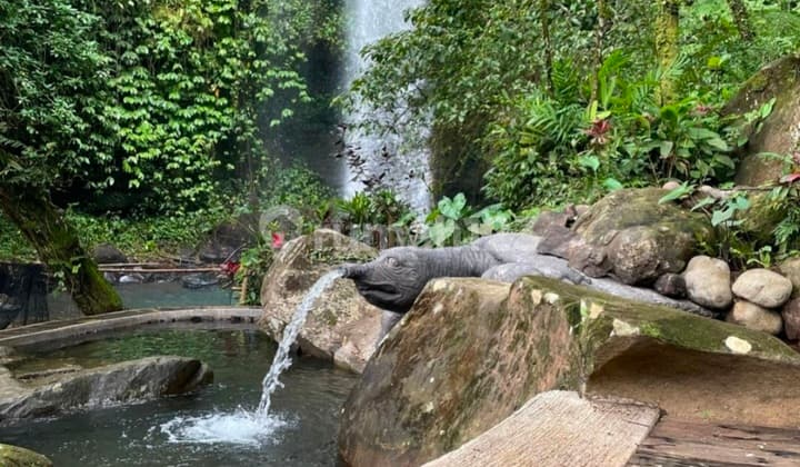Tanah Dengan Air Terjun Dan Mata Air