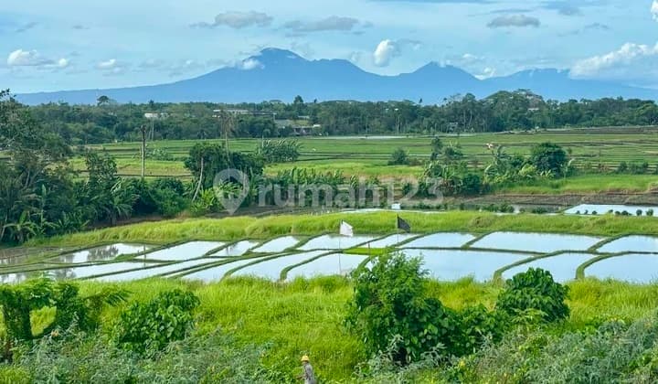 Tanah Dekat Pantai Cemagi View Sawah Dan Gunung