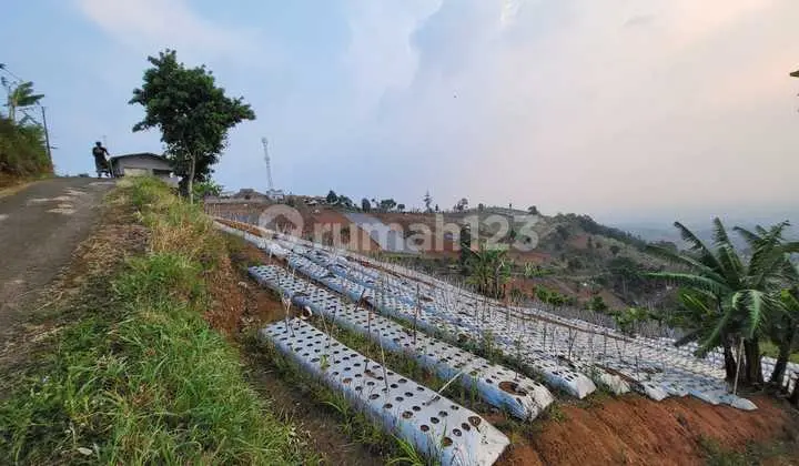Tanah Murah Perbukitan Di Area Dago Ketinggian 1200 Mdpl