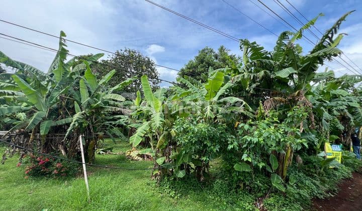 Tanah Kalijati, Subang 3500 m2