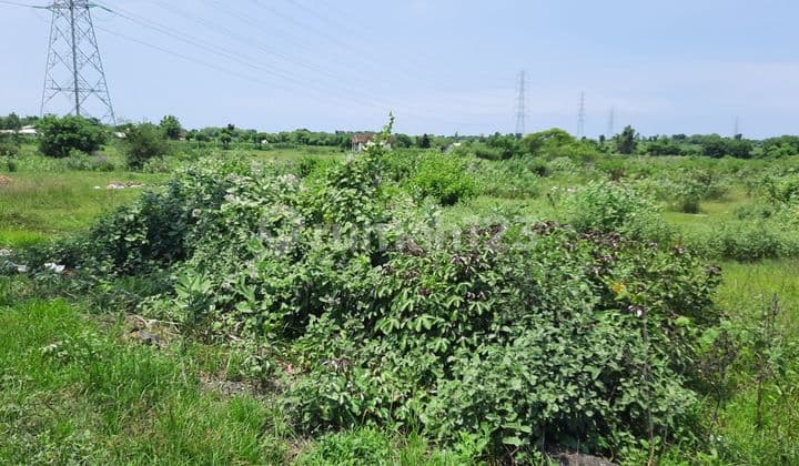 Raya Pakal Benowo Surabaya Komersial Area