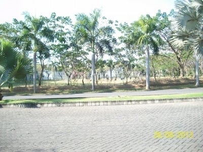 Tanah di Pakuwon Indah Imperial Golf Surabaya Barat, Luas 18 x 27 m2, Row Jalan Lebar, SIAP BANGUN Tanah di Pakuwon Indah Imperial Golf Surabaya Barat, Luas 18 x 27 m2, Row Jalan Lebar, SIAP BANGUN