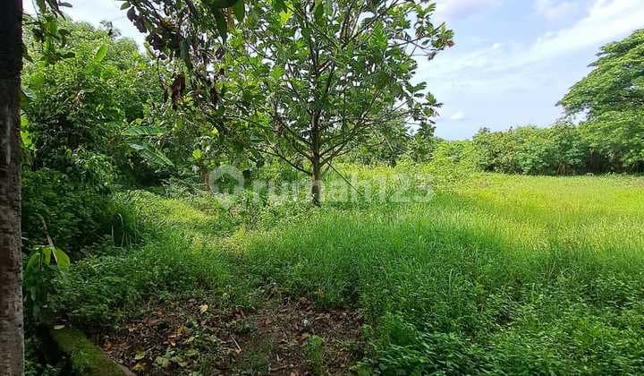 DISEWAKAN Kavling komersil di Jl KH. Hasyim Ashari Cipondoh Raya Tangerang Banten