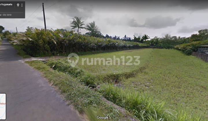Tanah wisata turi