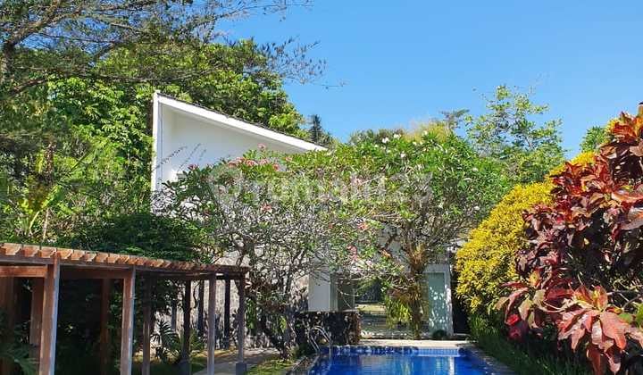 Villa dengan pendopo dan kolam renang dekat pusat kota