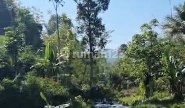 Dijual Lahan Subur Diciwidey 1.2 ha SHM