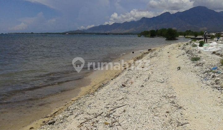 Di Jual Tanah Di Barat Los Pantai Pasir Putih Temurah Di Bali