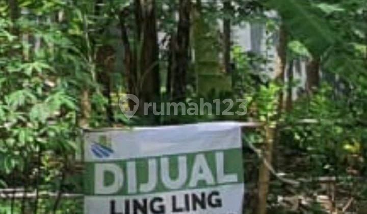 Tanah, SHM, di Sunter, Harga NJOP Nego
