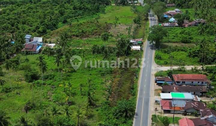 Tanah Tepi Jalan Wajok Kabupaten Mempawah