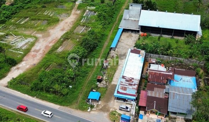 Tanah Jual Tepi Jalan Wajok Hilir 9 Hektar