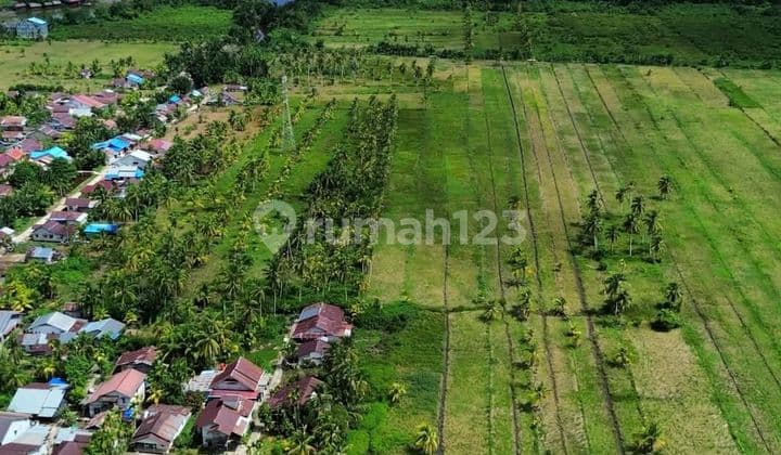 Tanah Tepi Jalan Jungkat Sampai Tepi Laut
