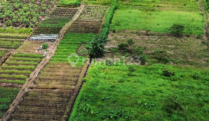 Tanah Jual Tepi Jalan Kebangkitan Nasional Siantan