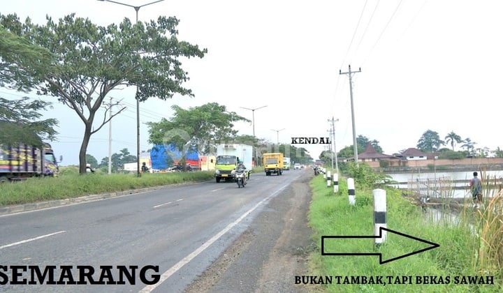 Tanah Hm Zona Industri Pinggir Jalan Raya Pantura/Lingkar Kaliwungu Kendal