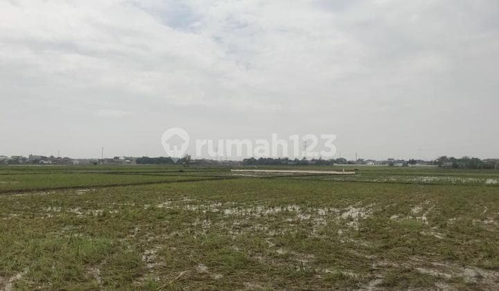 Tanah Luas 79.108m2 SHM di Karawang Jawa Barat