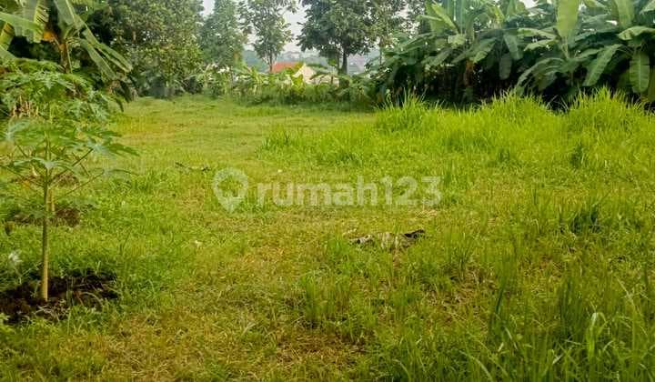 Dijual Tanah Kosong Luas 4094M2 Cocok untuk Town House di Jagakarsa Jakarta Selatan