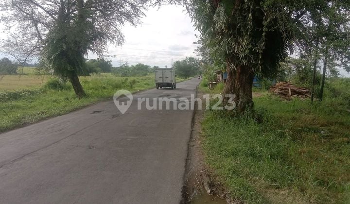 Tanah Murah Dekat dengan Pabrik Sepatu, Pemukiman, Sekolahan dan Tempat Ibadah Cocok untuk Gudang/Perumahan.