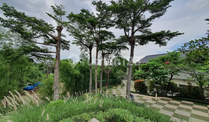 Tropical Bali House in Kemang Area