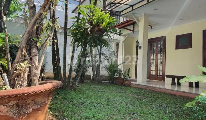 Beautiful and cozy home