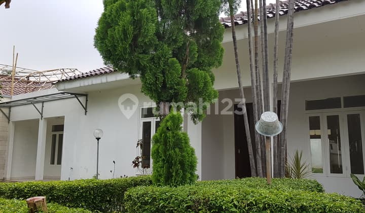 Classic and Bright House in Kemang