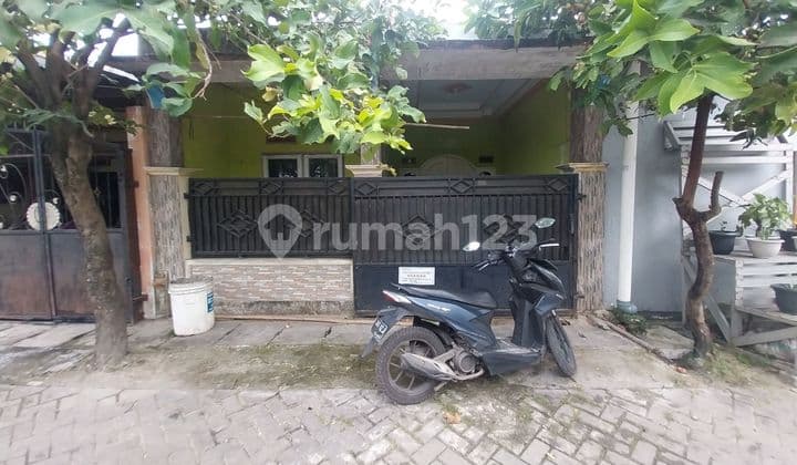 Dijual Rumah Second Puri Mahoni Sepatan Rumah Butuh Minim Renovasi SHM di Sepatan