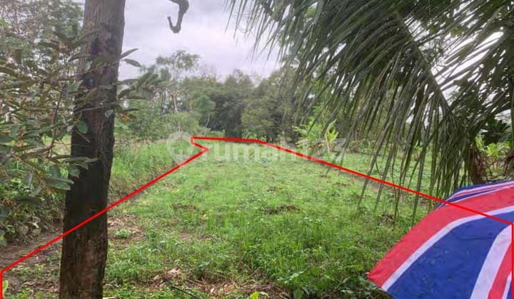 OBRAL Tanah 1070m UII Kaliurang, 1,1 jt Ngemplak Sleman Jogja Senang