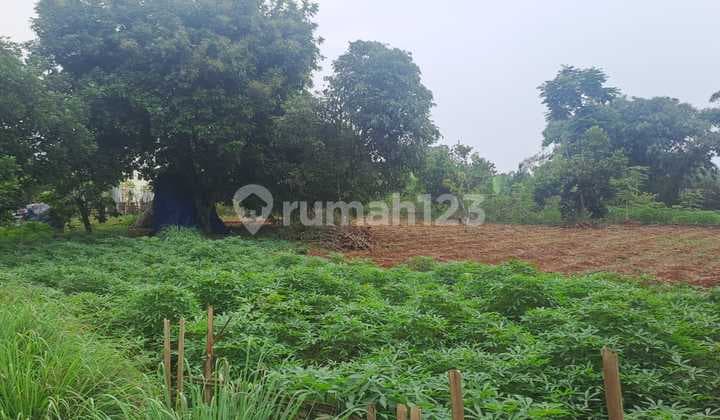 Tanah 3000M2 Jampang Raya, Investasi 1,7Jt Kavling Gunung Sindur Bogor Puspitek Serpong BSD Pamulang