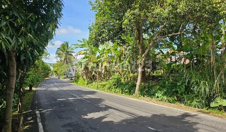 Tanah 35 Are Lokasi di Pusat Pariwisata Dijual, di Area Payangan Ubud