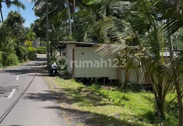 Tanah Strategis 14 Are Disewakan, di Ubud, Gianyar Area