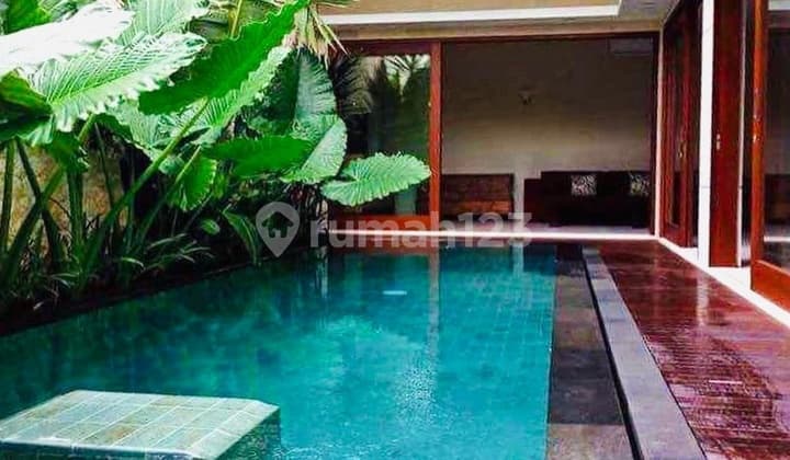 Villa With Stunning Ricefield View For Lease, Kerobokan Area