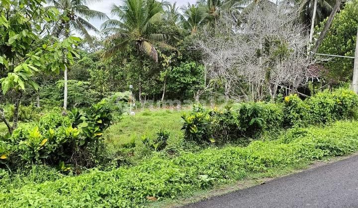 Tanah 57,3 Are di Lingkungan Villa Dijual, di Selemadeg Tabanan Area