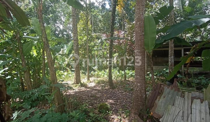 Tanah Strategis 7 Are Disewakan, di Area Premium Ubud, Gianyar
