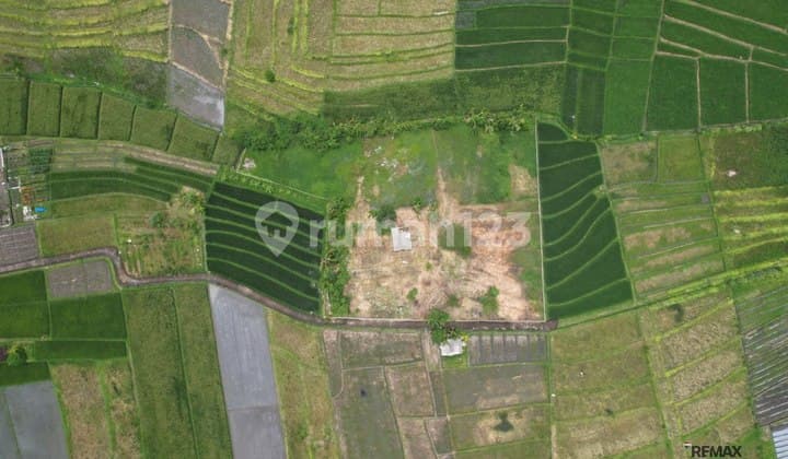 Tanah Perkebunan 35,9 Are Dijual, di Beraban, Tabanan Area