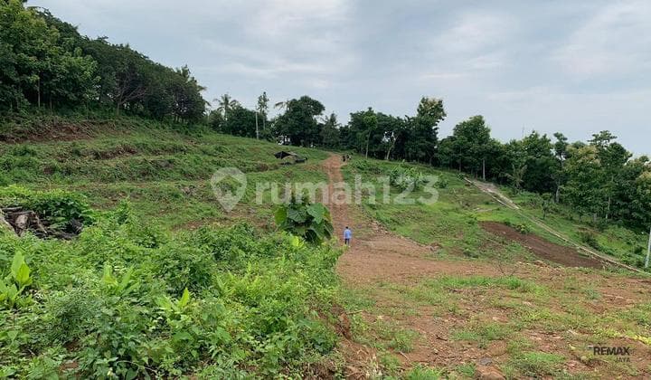 Tanah Premium 82,65 Are Dijual, di Lovina, Buleleng Area