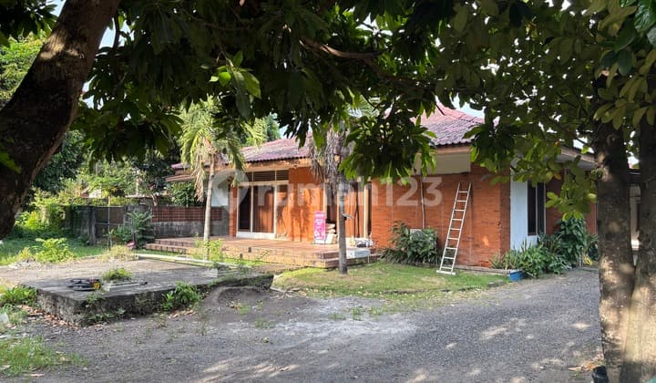 Rumah Strategis Plus Kantor Usaha Aktif Dijual, di Raya Kuta Area